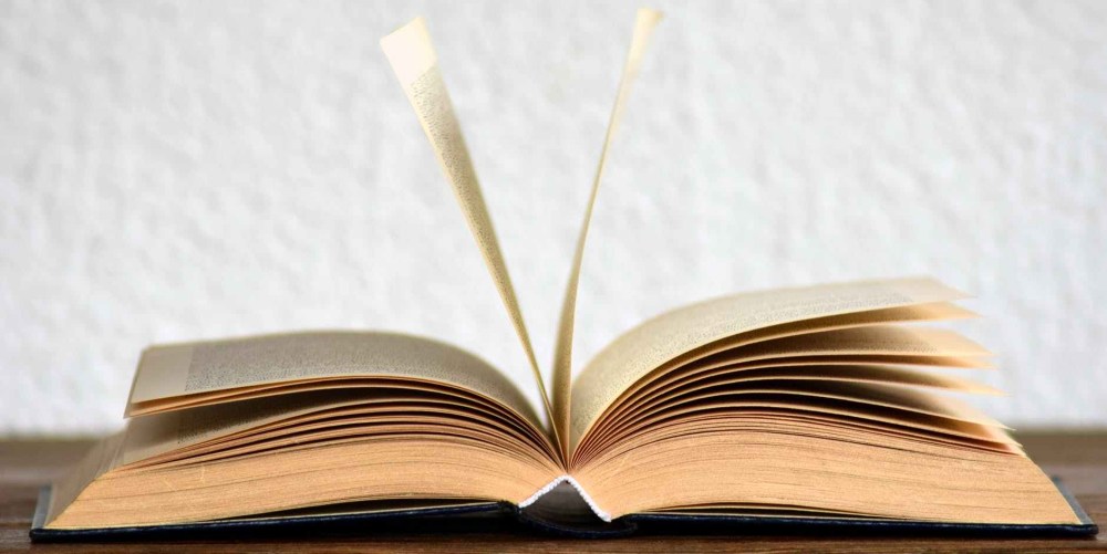 book book pages bookcase browse